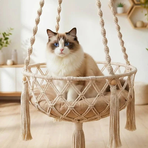 Cat relaxing in a hanging chair