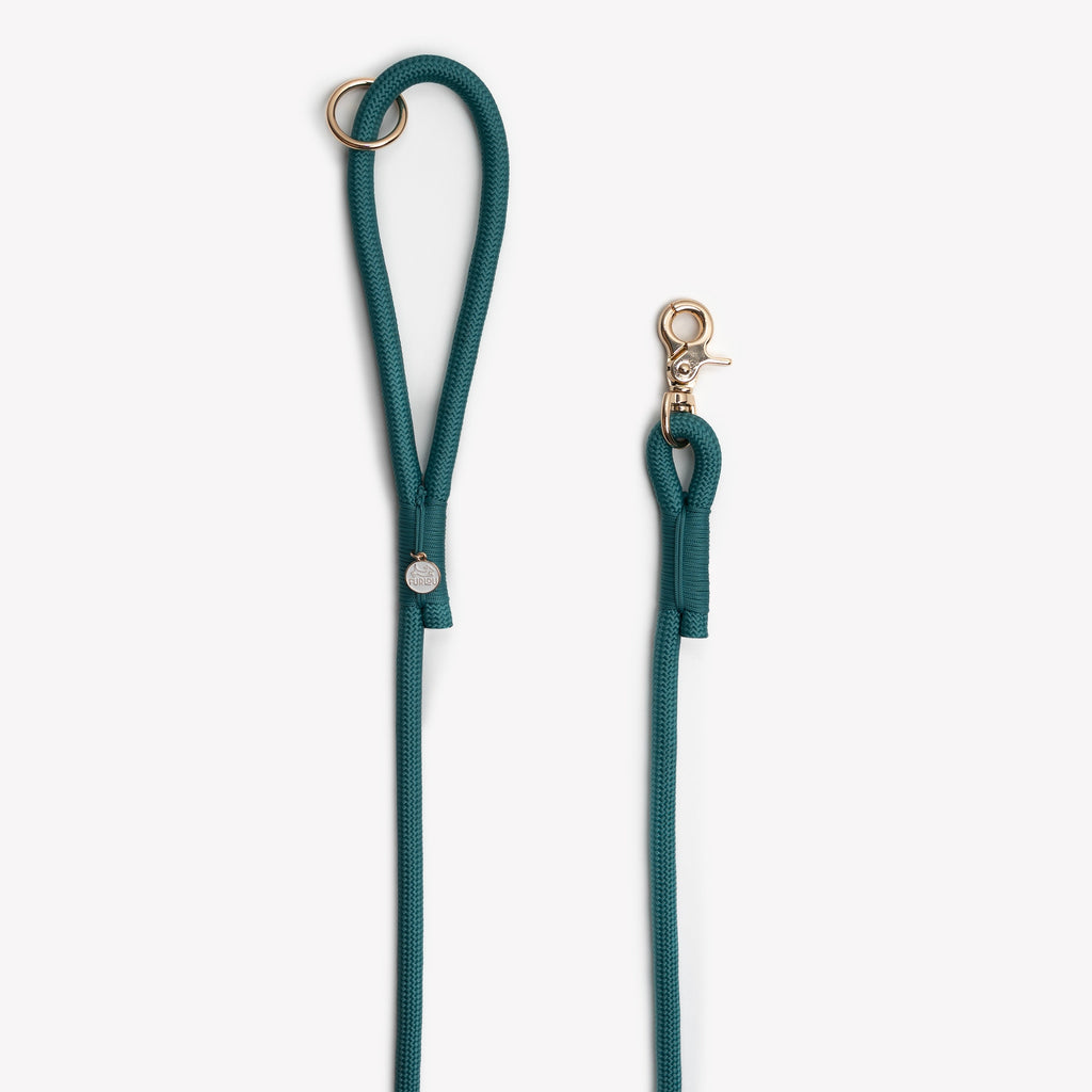Blue - Braided Rope Leash