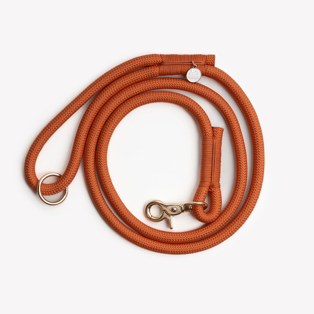 Terracotta - Braided Rope Leash