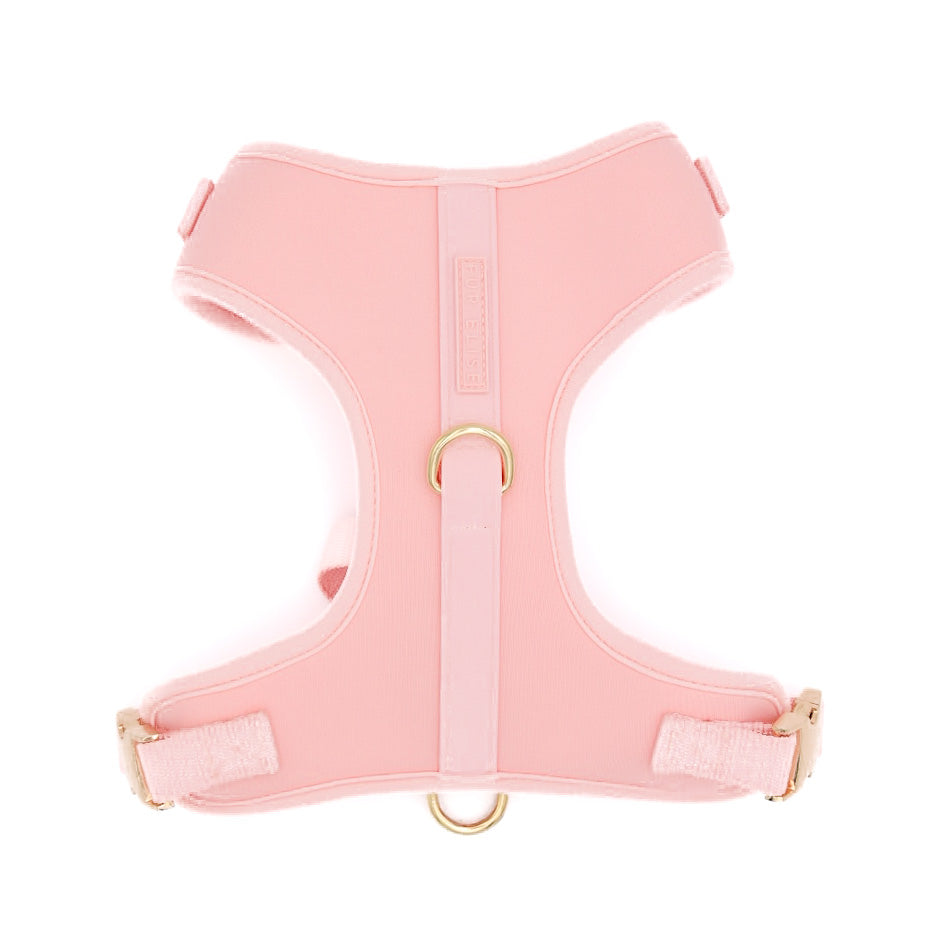 Fur Elise Essentials Dog Walking Set - Rose — individual component or lifestyle view