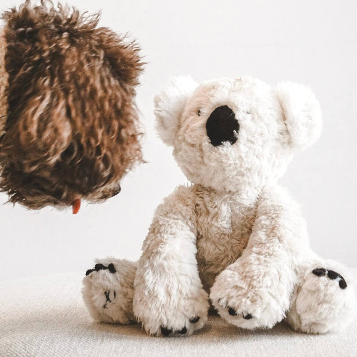 Fur Elise Koko Koala Plush Dog Toy Set - Mini & Maxi — toy shown during play