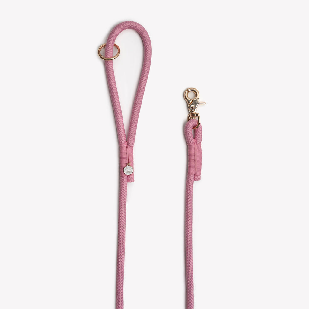 Pink - Braided Rope Leash