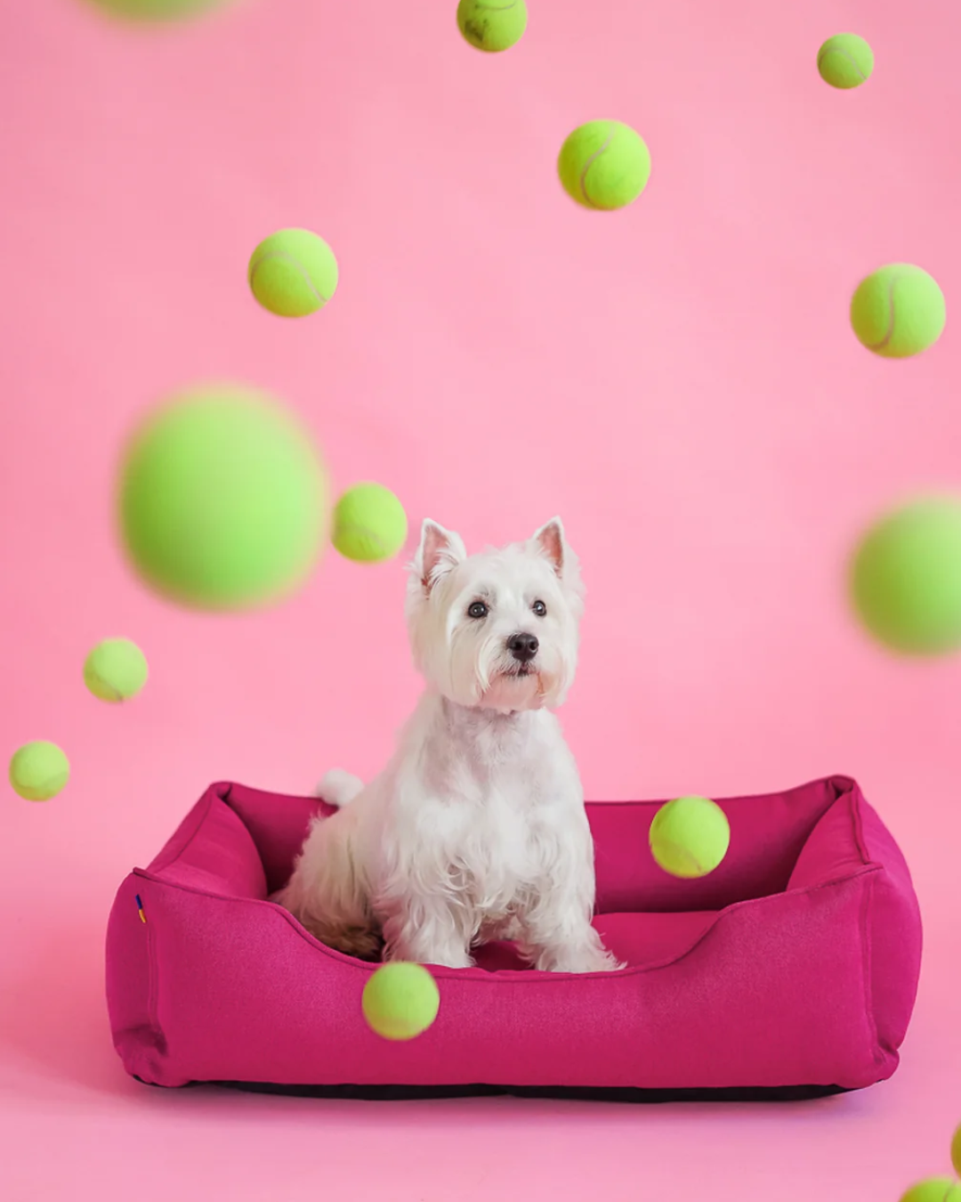 Chester & Lee - Cotton Sleeper Dog Bed Berry Pink