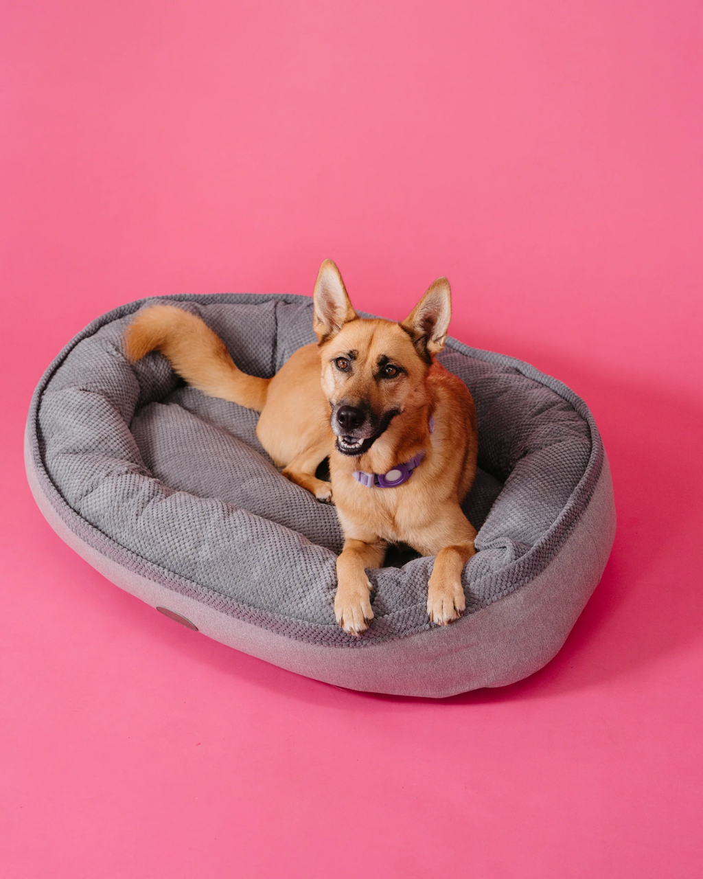 Chester & Lee - Furry Bagel Dog Bed