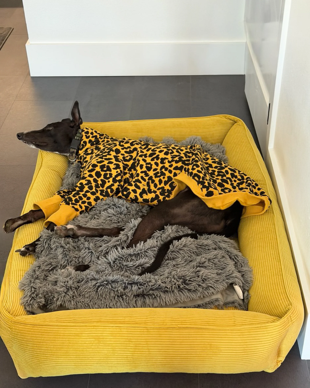 Chester & Lee - Fancy Corduroy Sleeper Dog Bed Sunny Yellow