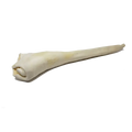 Full Length Bull Tail