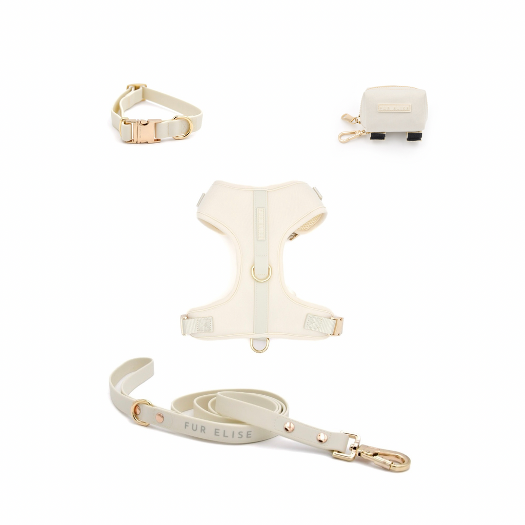 Fur Elise Essentials Dog Walking Set - Bone — included set components