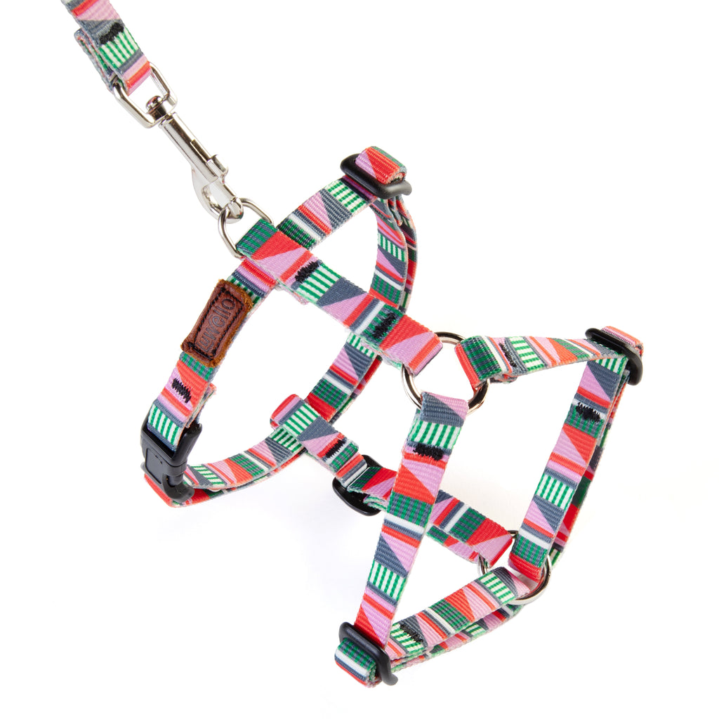 Adjustable Dog Harness - 1/2-Inch
