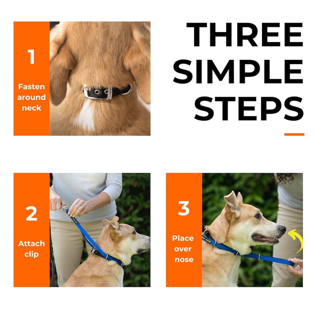 Canny Collar - Dog Training Headcollar