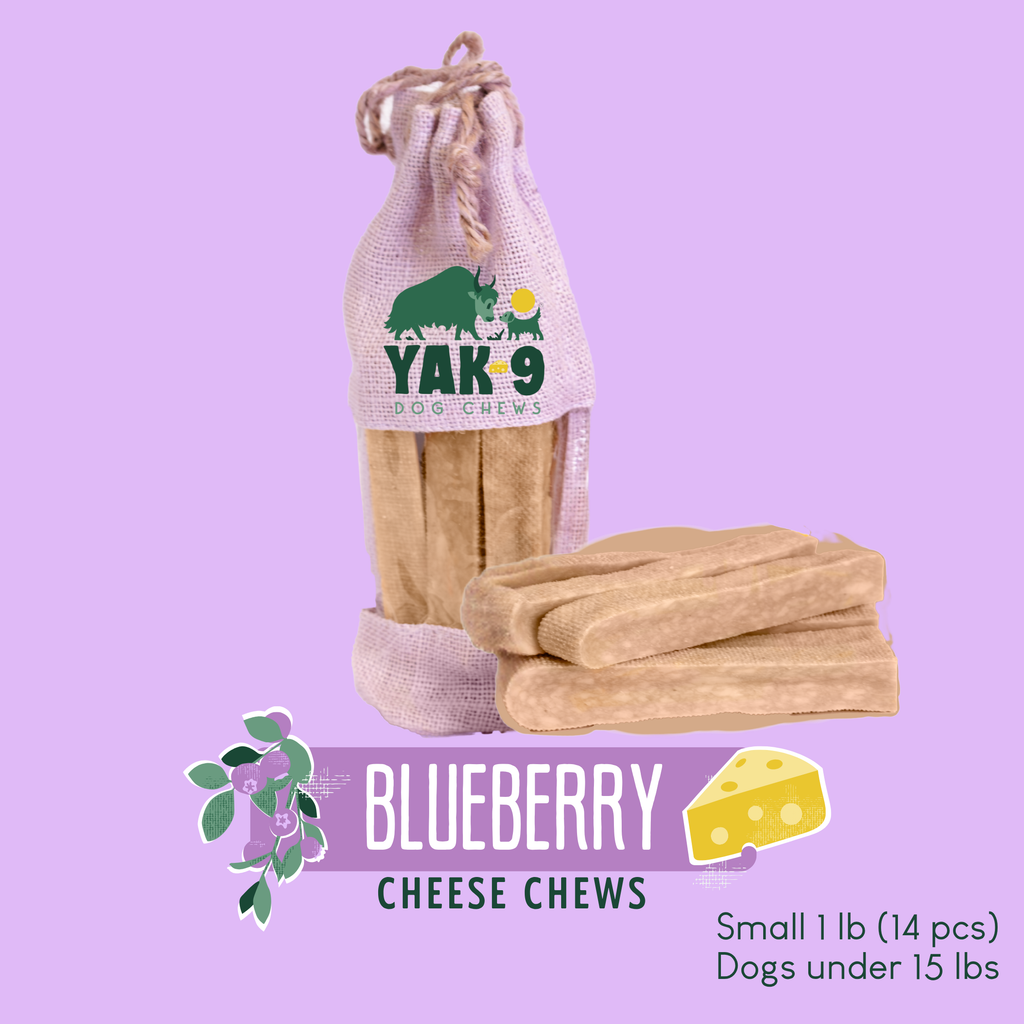 yak9 - Blueberry Yak Chews for Dogs
