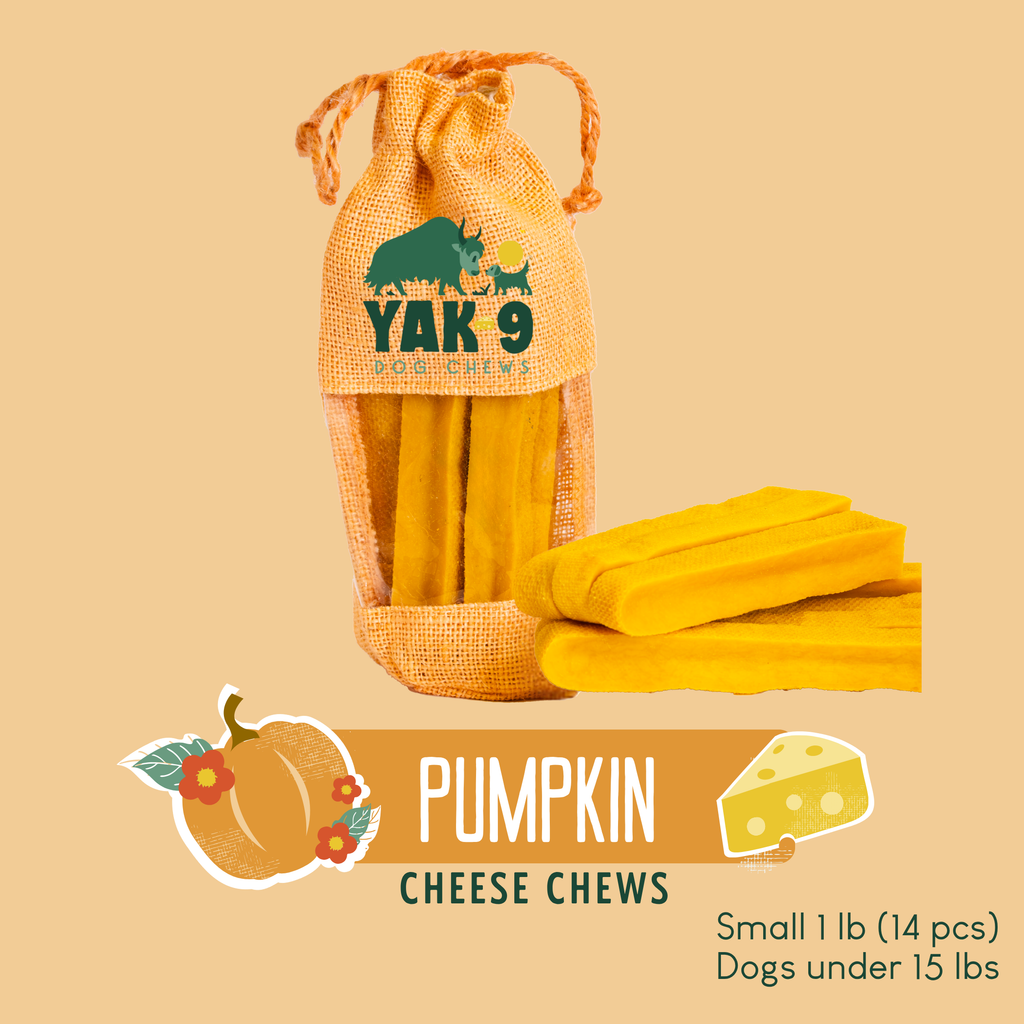 yak9 - Pumpkin Yak Chews for Dogs