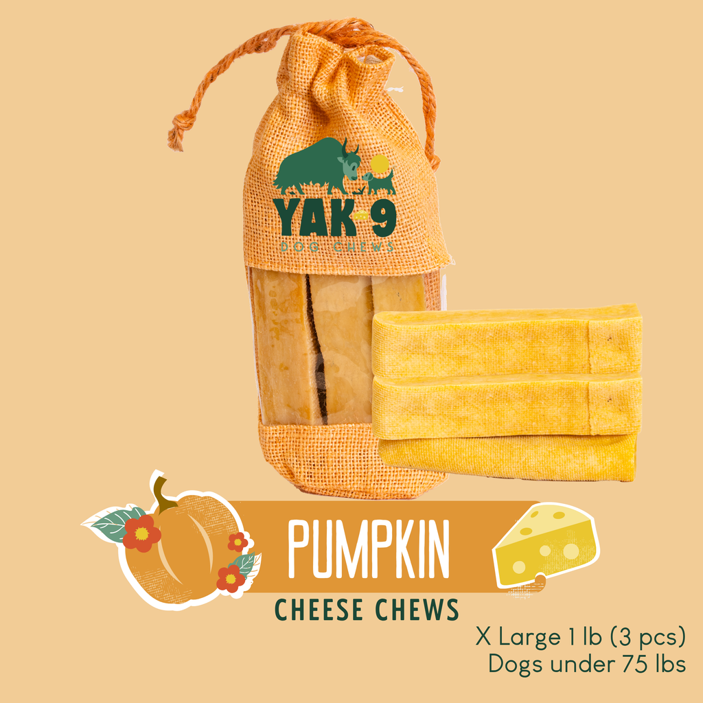 yak9 - Pumpkin Yak Chews for Dogs