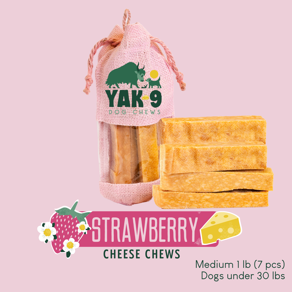 yak9 - Strawberry Cheese Chews for Dogs