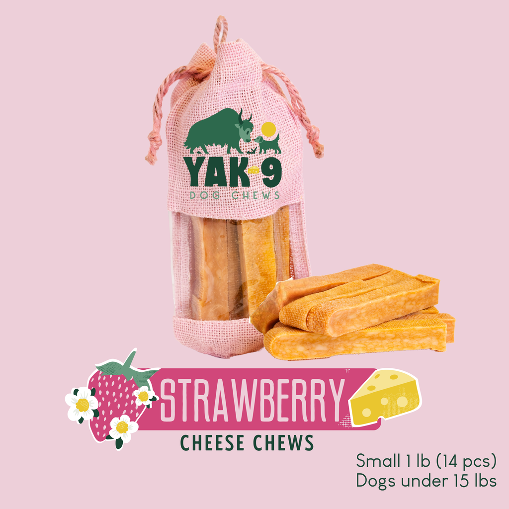 yak9 - Strawberry Cheese Chews for Dogs