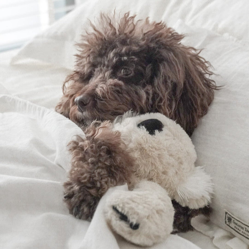 Fur Elise Koko Koala Plush Dog Toy - Maxi — toy shown during play