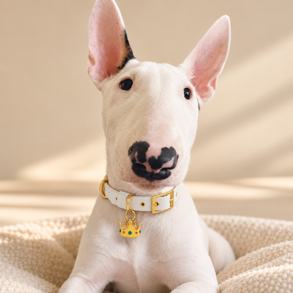 Crown Pet ID Tag