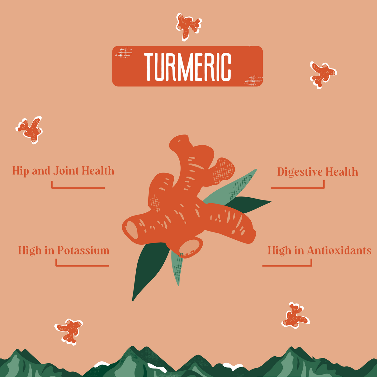 yak9 - Turmeric Yak Milk Chews for Dogs