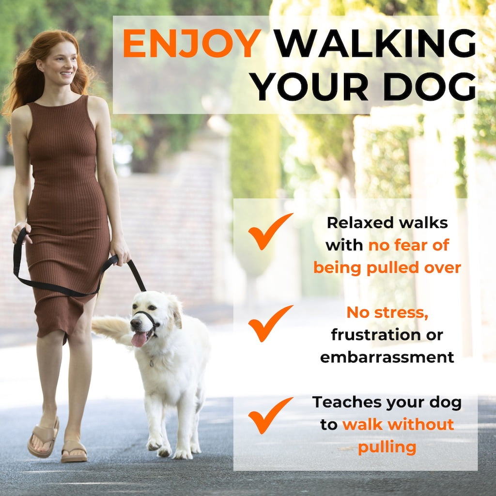 Canny Collar - Dog Training Headcollar
