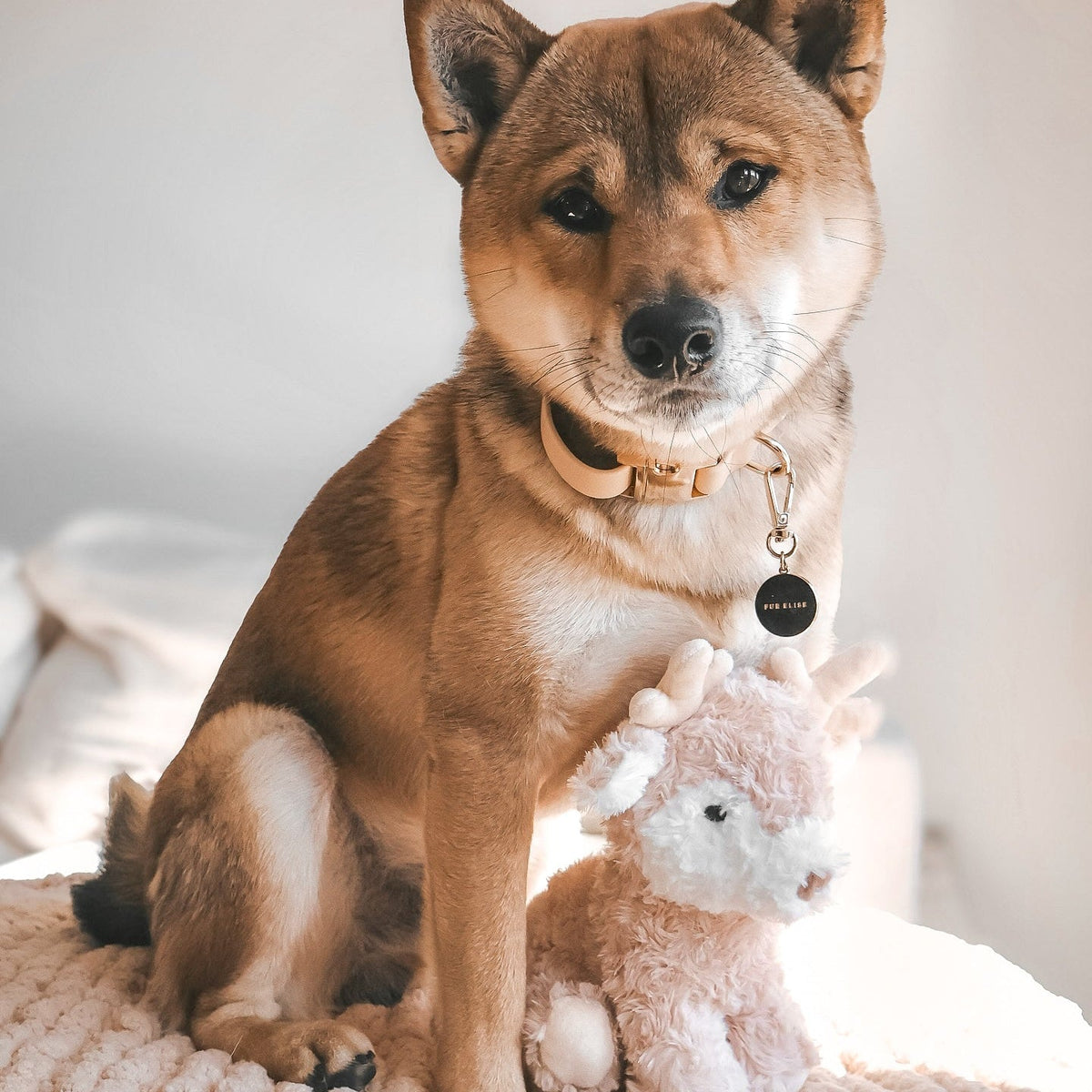 Fur Elise Vixi Reindeer Plush Dog Toy Set - Mini & Maxi — toy shown during play