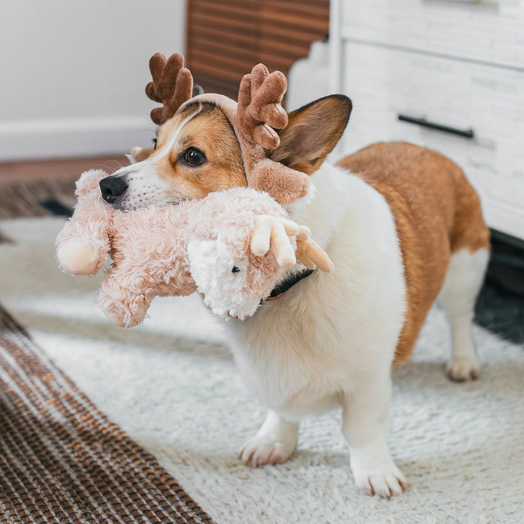 Fur Elise Vixi Reindeer Plush Dog Toy - Maxi — toy shown during play