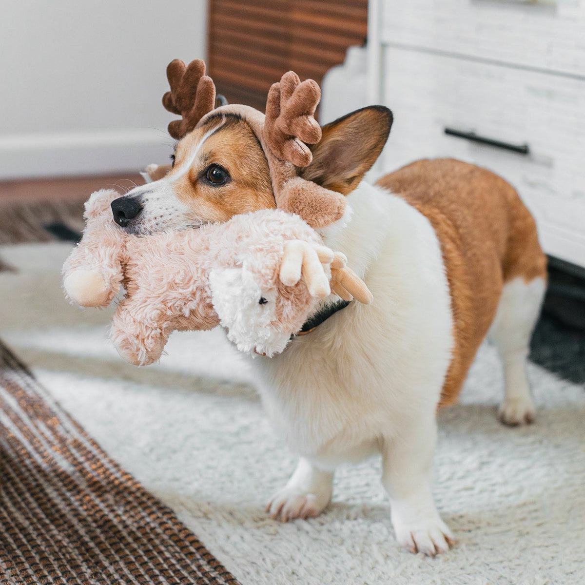 Fur Elise Vixi Reindeer Plush Dog Toy - Maxi — toy shown during play