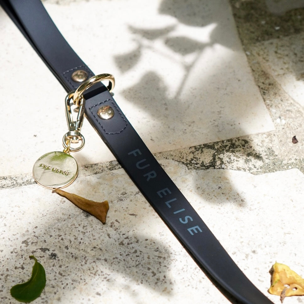 Fur Elise Essentials Dog Walking Set - Noir — individual component or lifestyle view