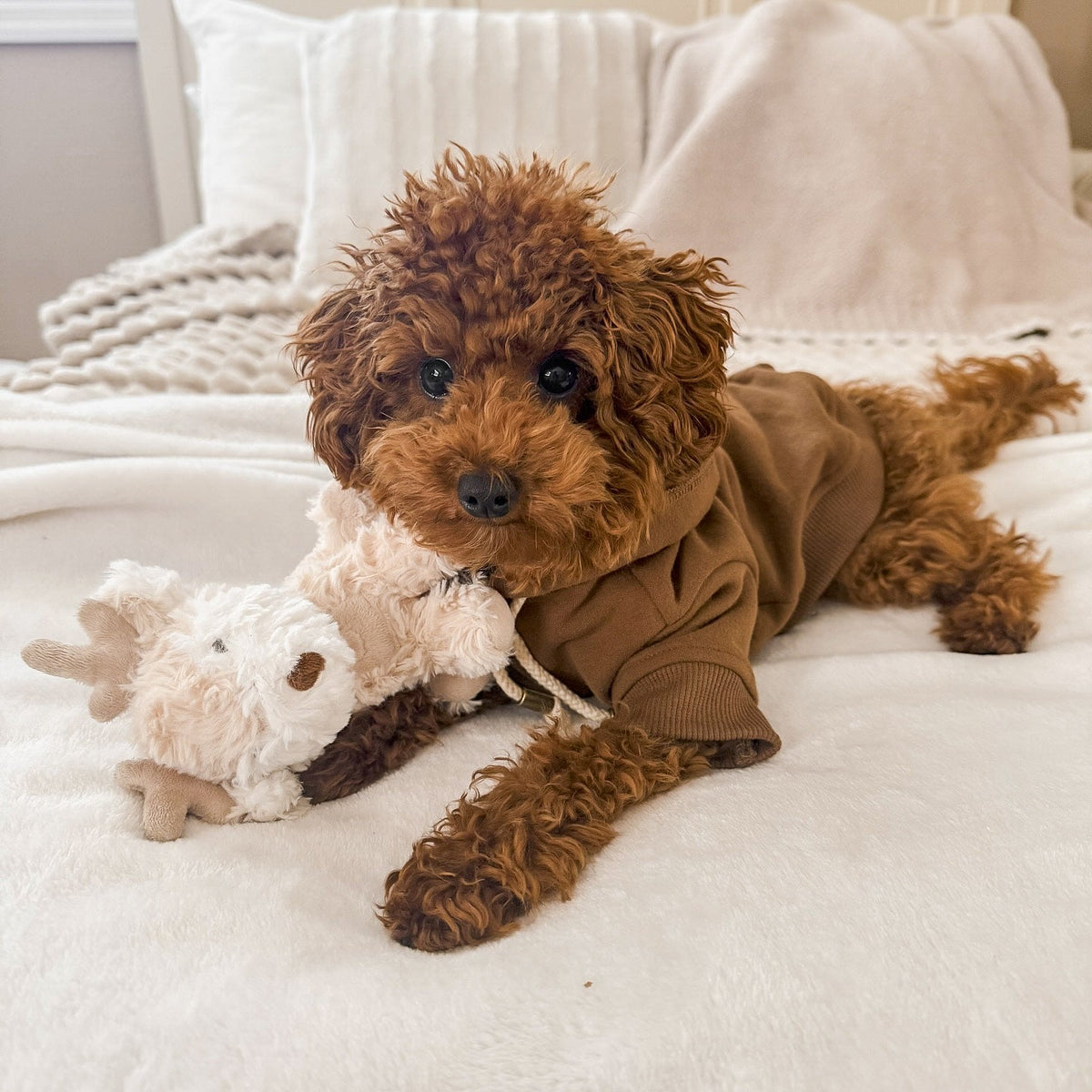 Fur Elise Vixi Reindeer Plush Dog Toy Set - Mini & Maxi — toy shown during play