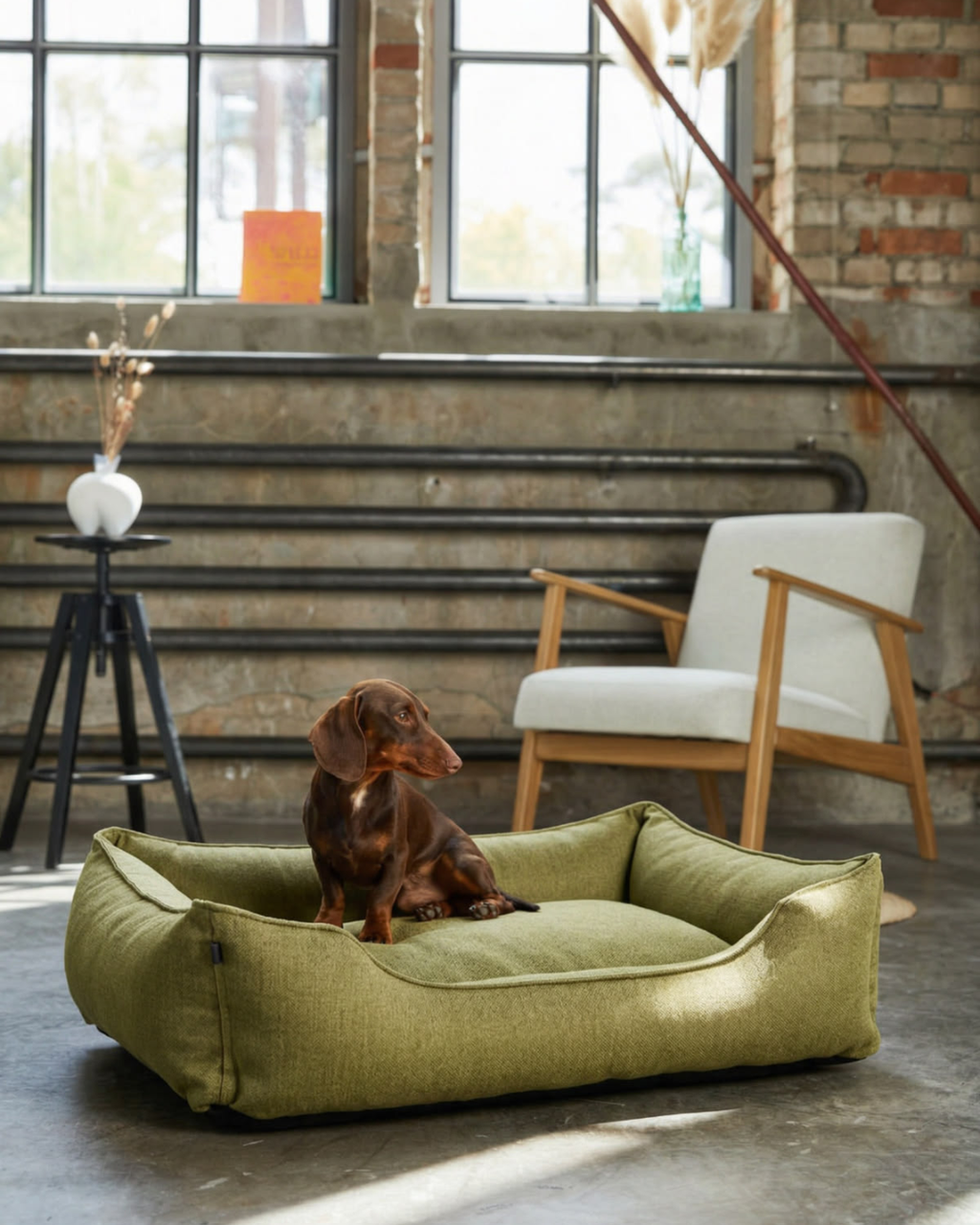 Chester & Lee - Cotton Sleeper Dog Bed Olive