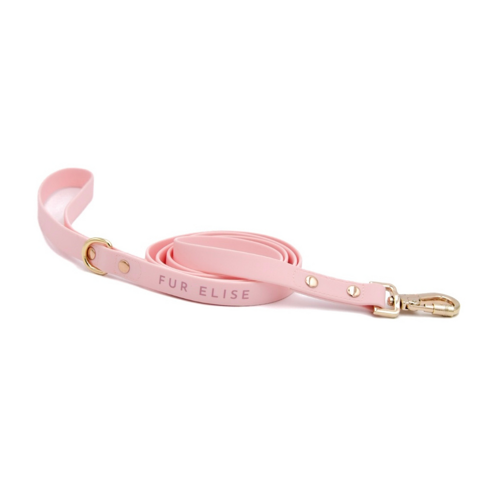 Fur Elise Essentials Dog Walking Set - Rose — individual component or lifestyle view