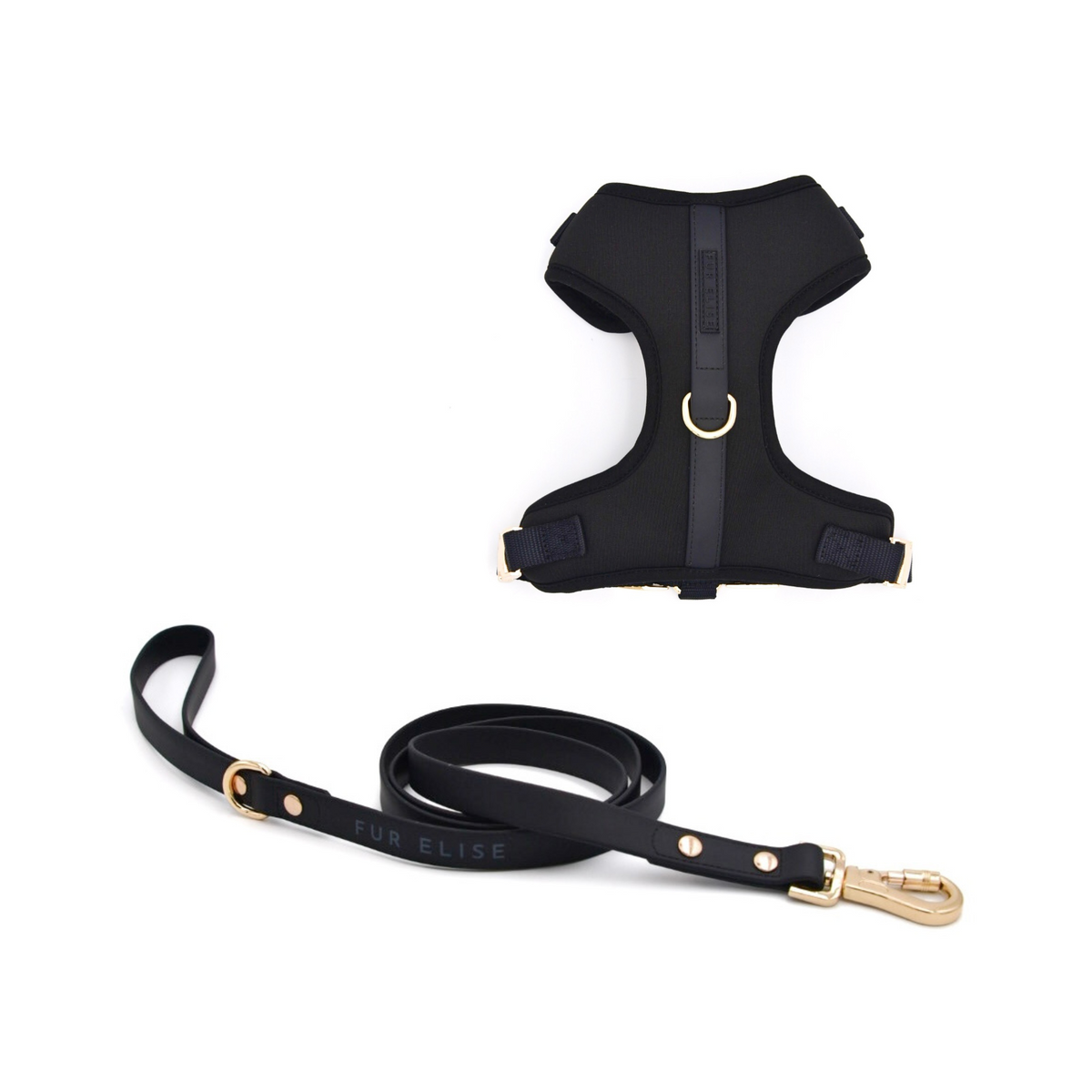 Fur Elise Dog Harness & Leash Set - Noir — included set components