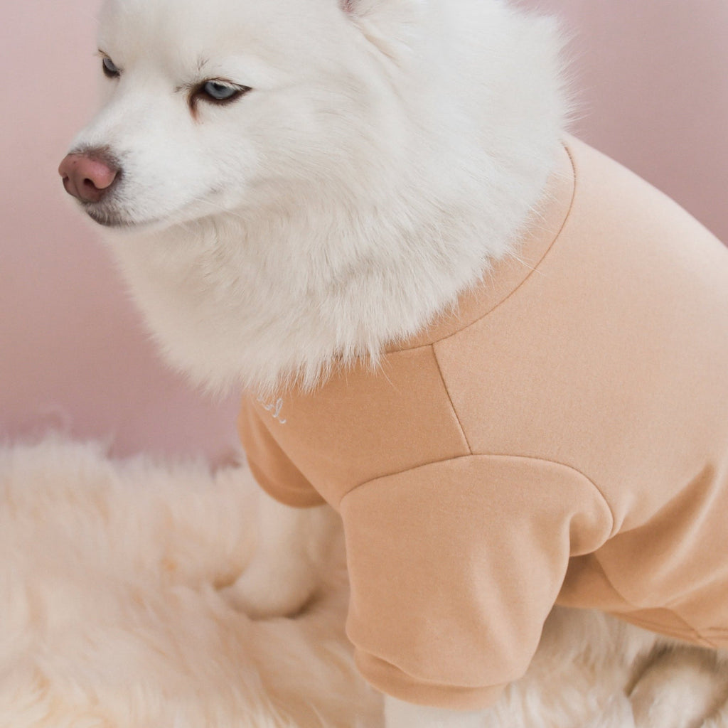 Fur Elise Spoiled Mock Neck Dog Shirt - Latte — shirt worn by a dog