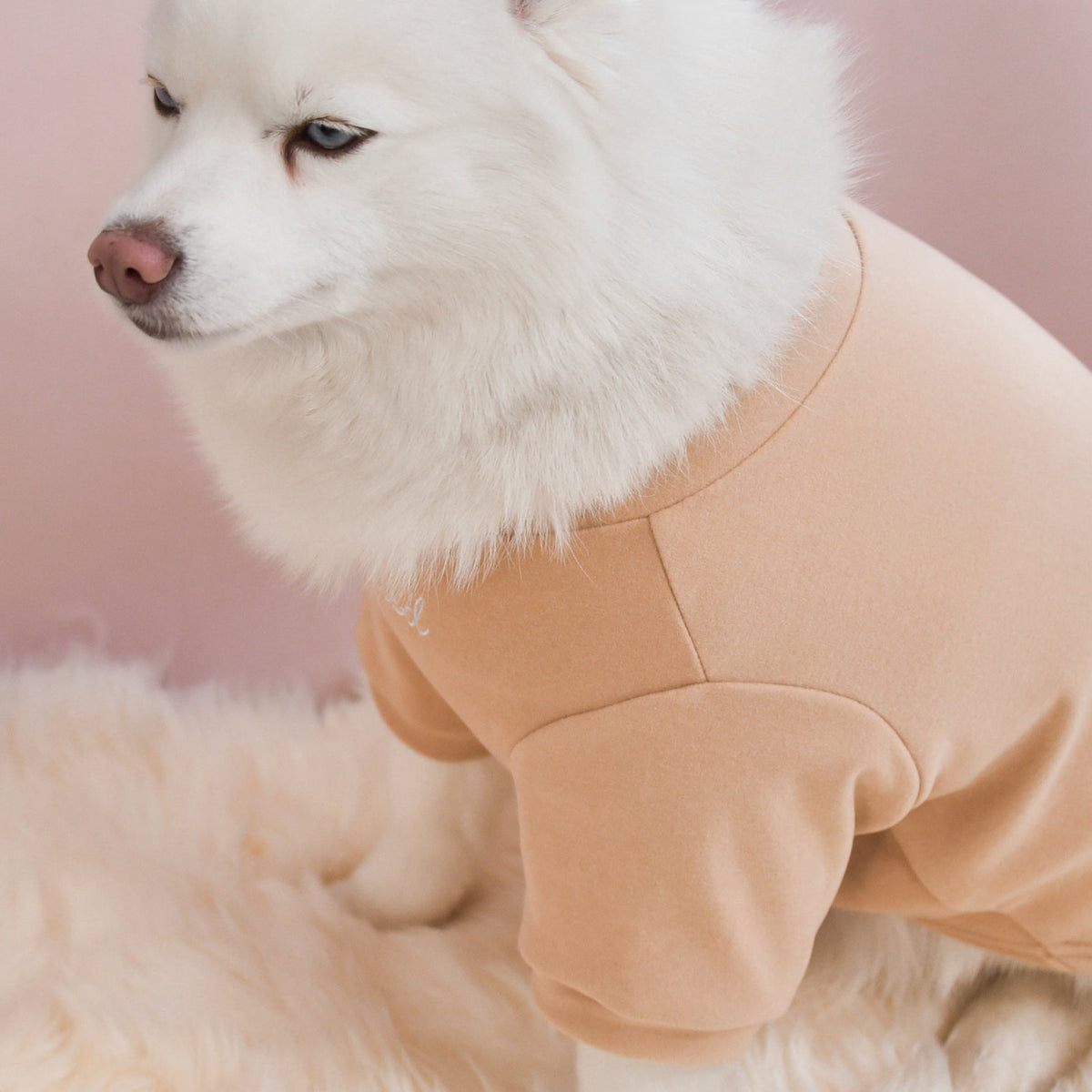 Fur Elise Spoiled Mock Neck Dog Shirt - Latte — shirt worn by a dog