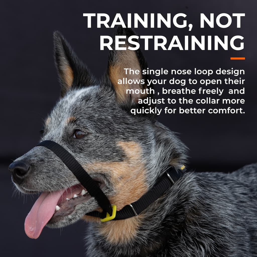 Canny Collar - Dog Training Headcollar