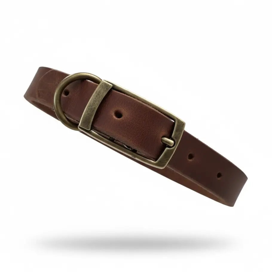 Heritage Hyde Genuine Leather Collar