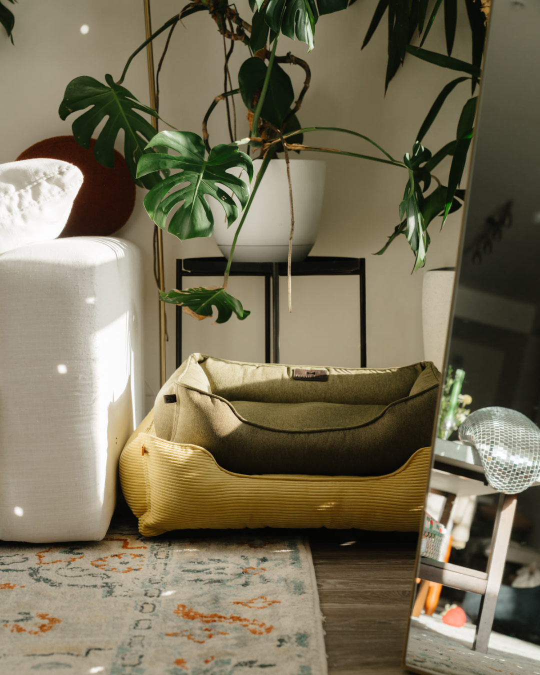 Chester & Lee - Cotton Sleeper Dog Bed Olive