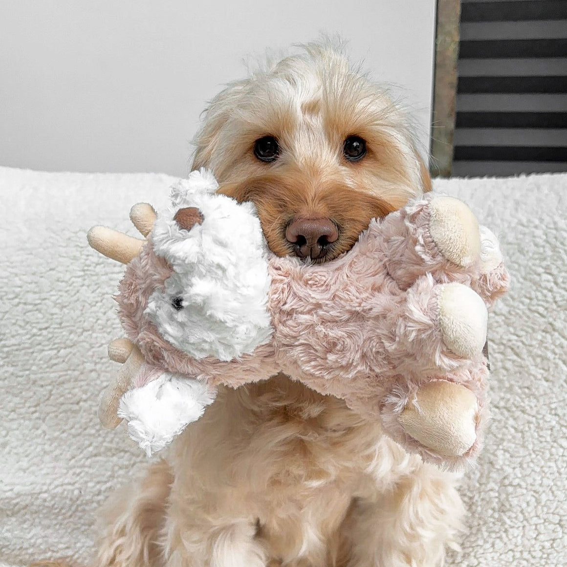 Fur Elise Vixi Reindeer Plush Dog Toy - Maxi — toy shown during play