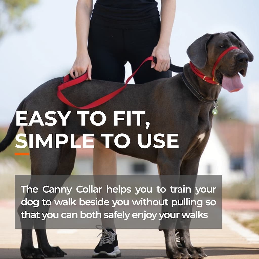 Canny Collar - Dog Training Headcollar