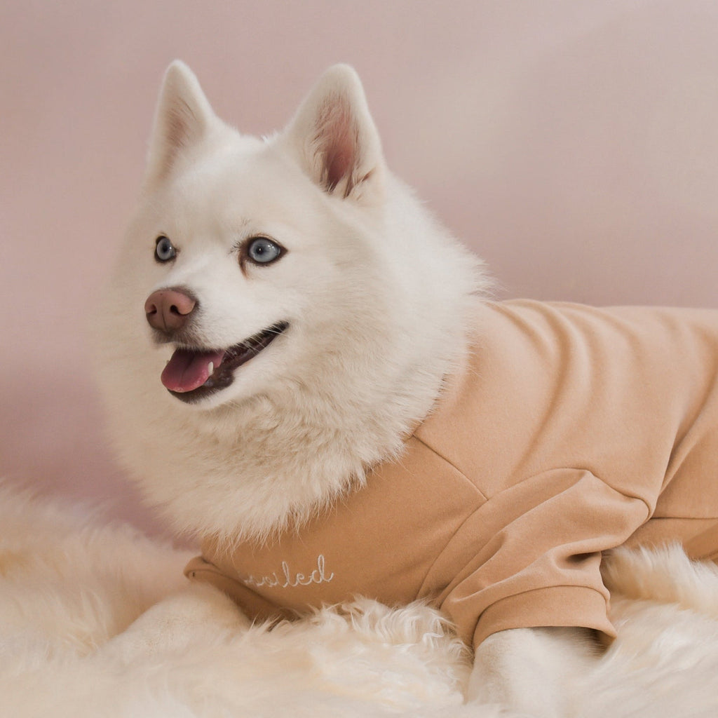 Fur Elise Spoiled Mock Neck Dog Shirt - Latte — shirt worn by a dog