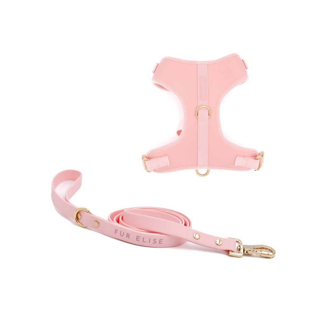Fur Elise Dog Harness & Leash Set - Rose — included set components