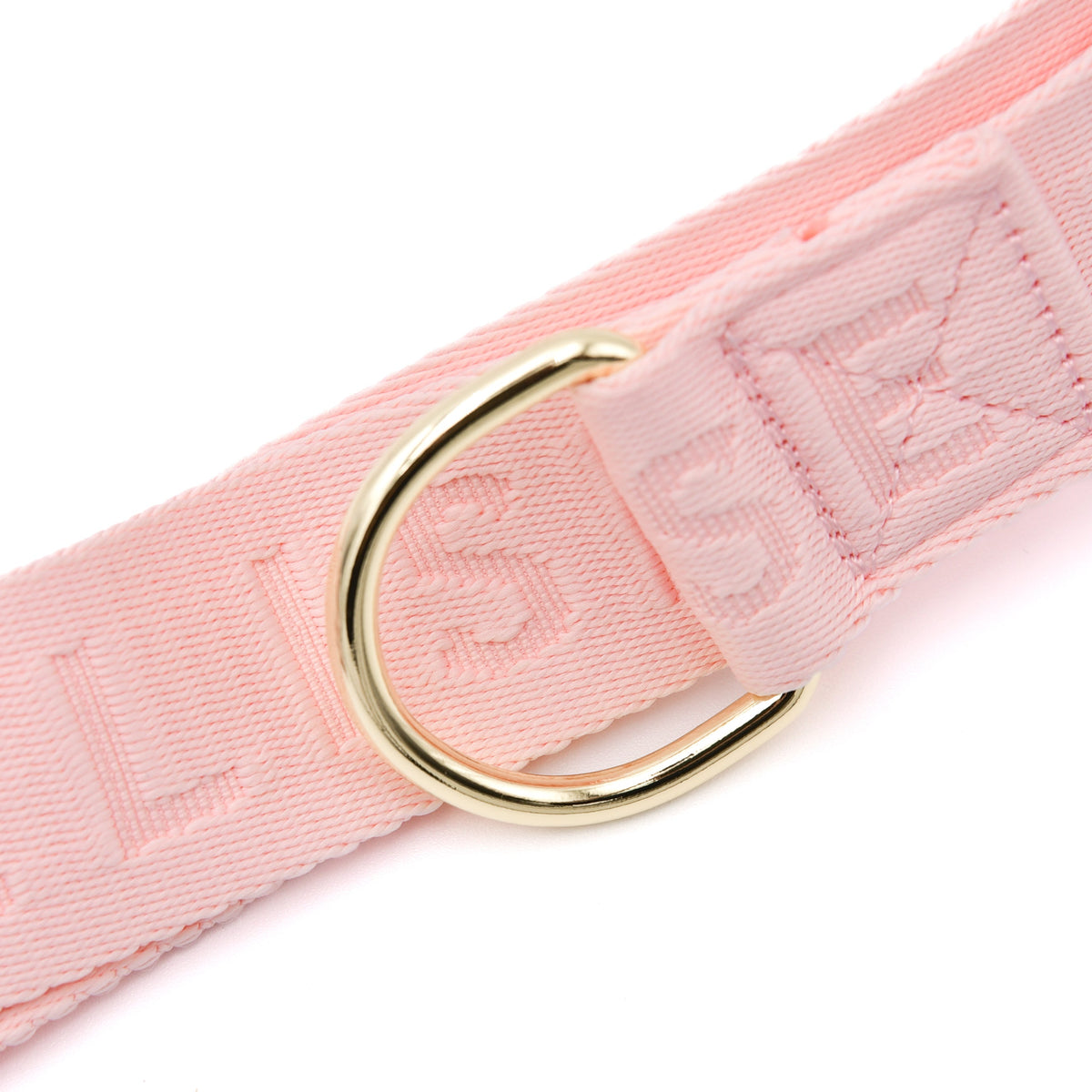 Fur Elise Dog Walking Bag - Rose — additional product view