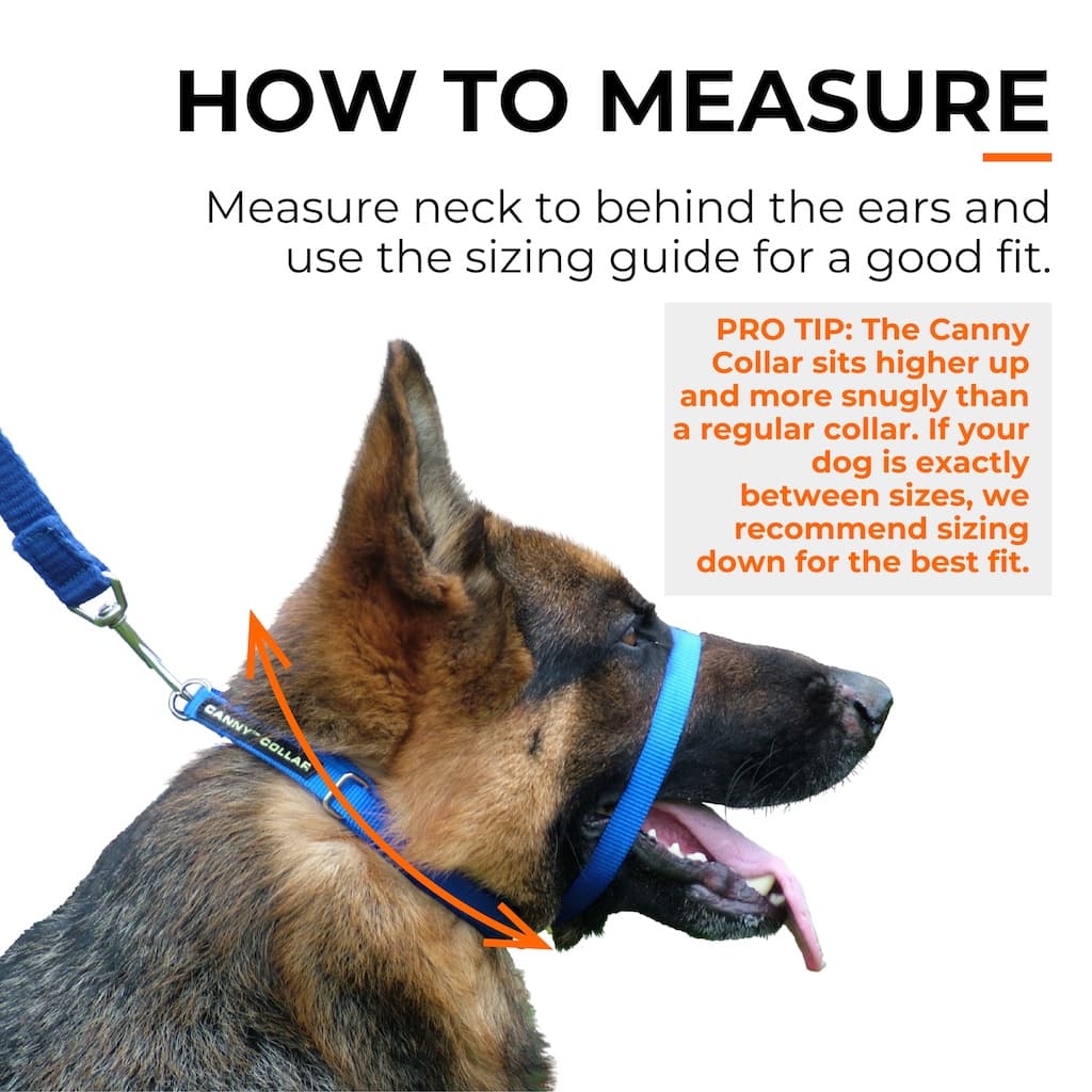Canny Collar - Dog Training Headcollar
