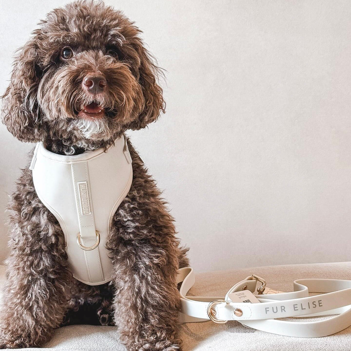 Fur Elise On-the-Go Dog Walking Set - Bone — individual component or lifestyle view