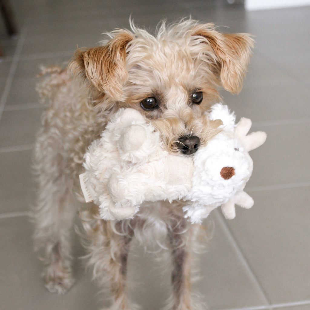 Fur Elise Vixi Reindeer Plush Dog Toy - Mini — toy shown during play