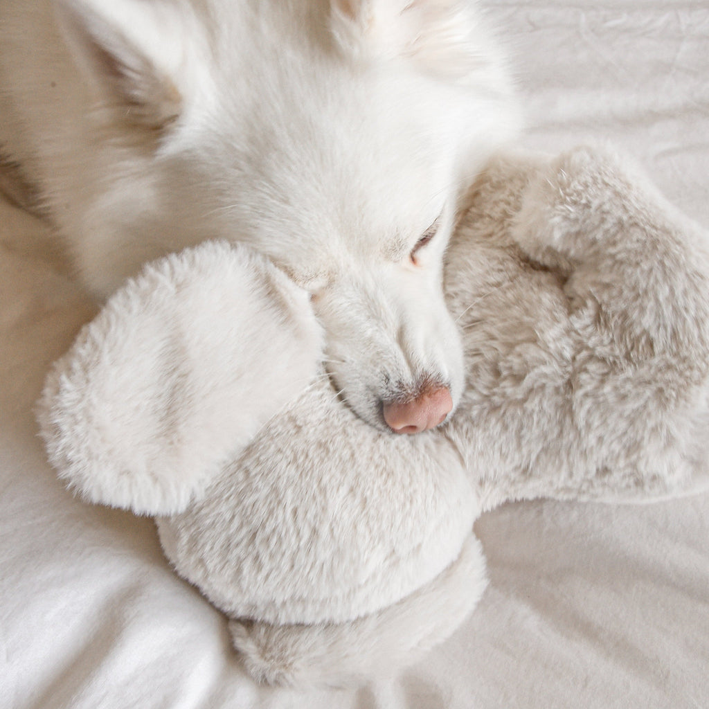 Fur Elise Ella Elephant Plush Dog Toy - Maxi — toy shown during play