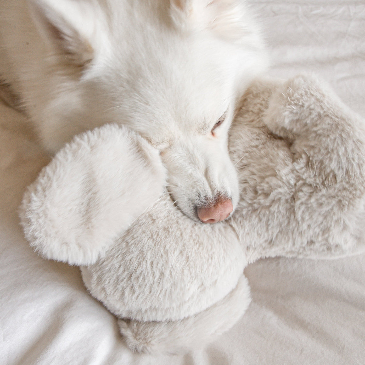 Fur Elise Ella Elephant Plush Dog Toy - Maxi — toy shown during play