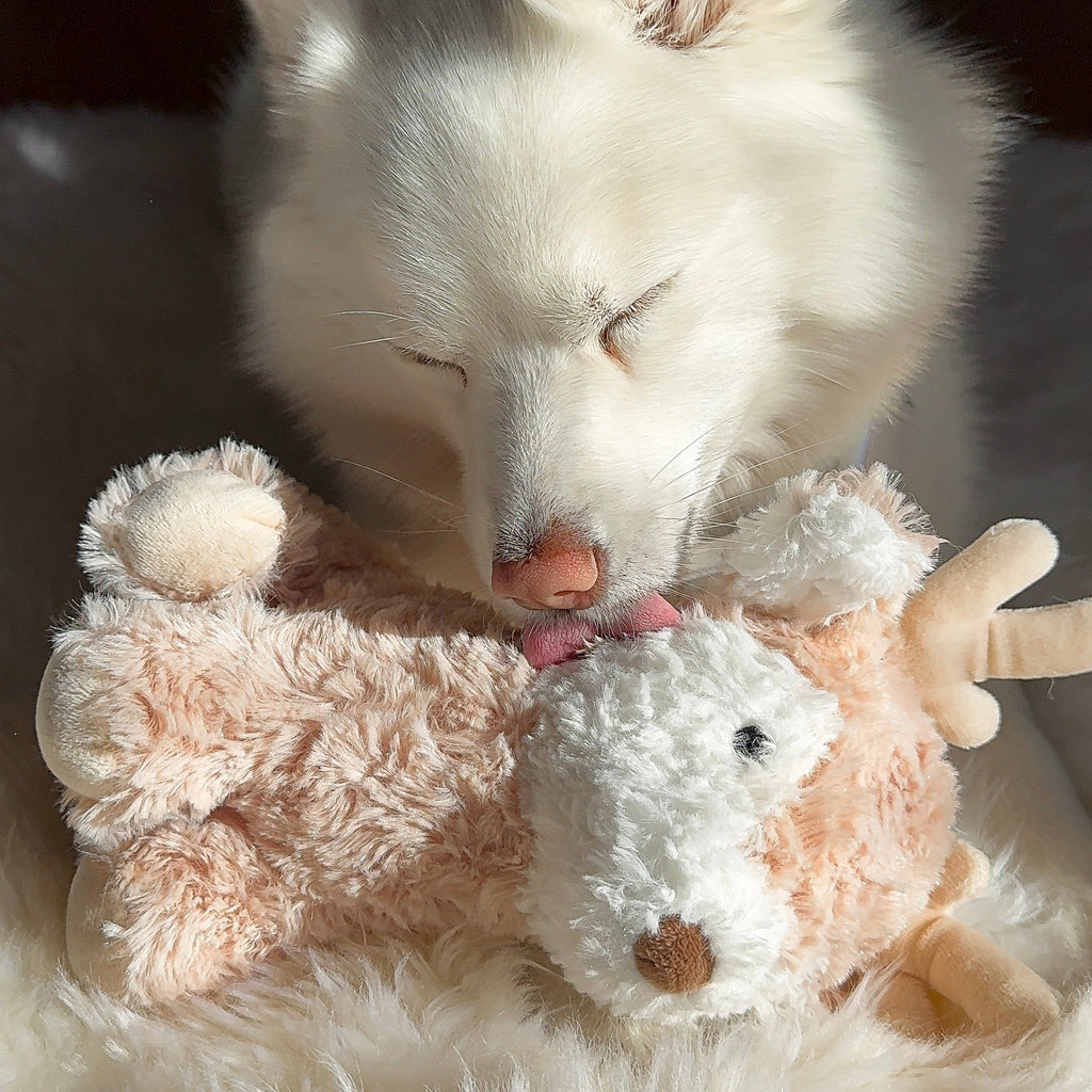 Fur Elise Vixi Reindeer Plush Dog Toy - Maxi — toy shown during play