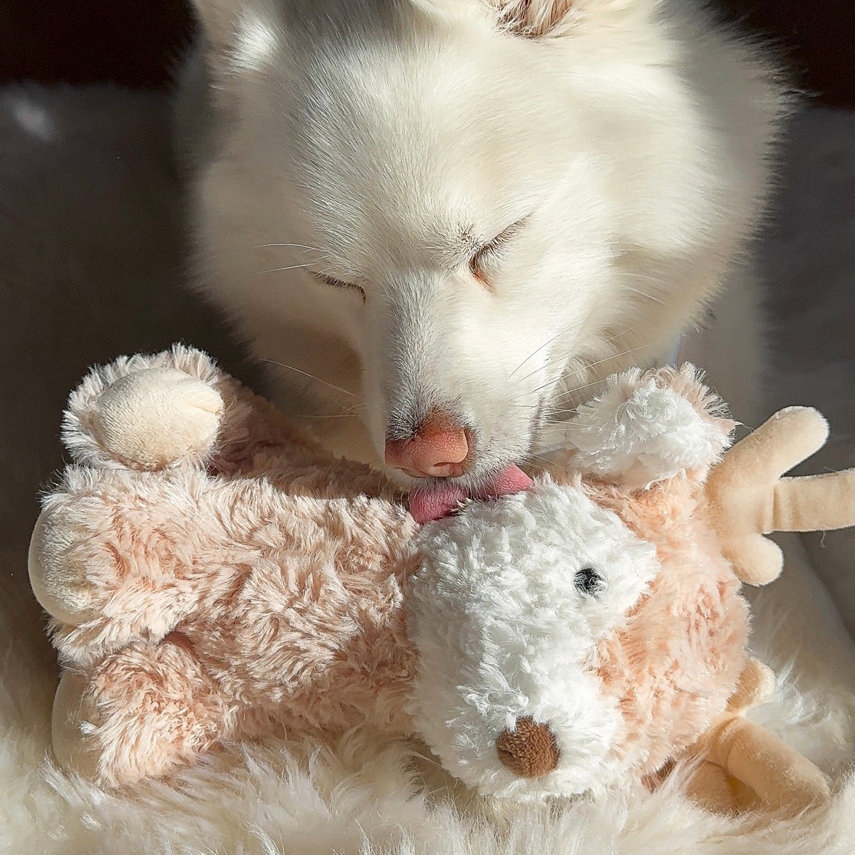 Fur Elise Vixi Reindeer Plush Dog Toy - Maxi — toy shown during play
