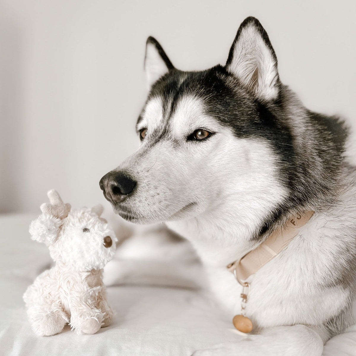 Fur Elise Vixi Reindeer Plush Dog Toy - Mini — toy shown during play