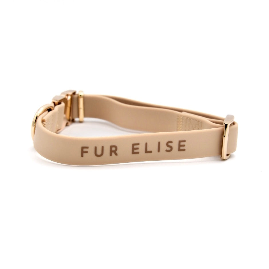 Fur Elise Dog Collar - Sand — collar band and logo