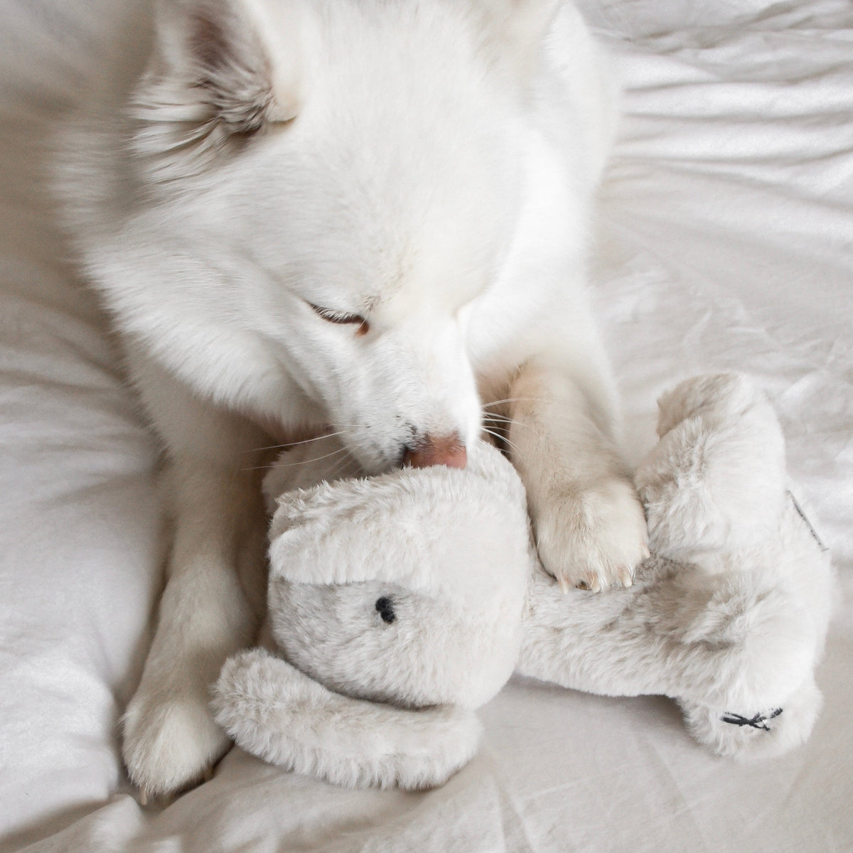 Fur Elise Ella Elephant Plush Dog Toy - Maxi — toy shown during play